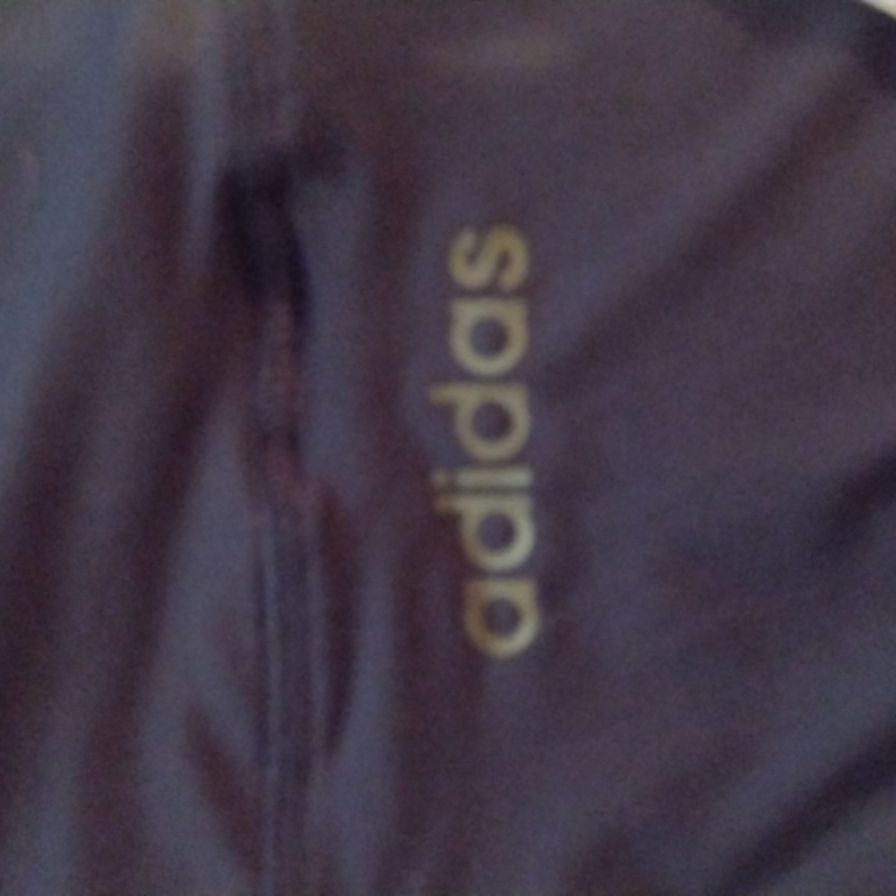 Adidas workout Pants
